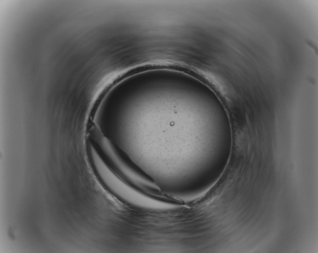 X0000096461327200801311504