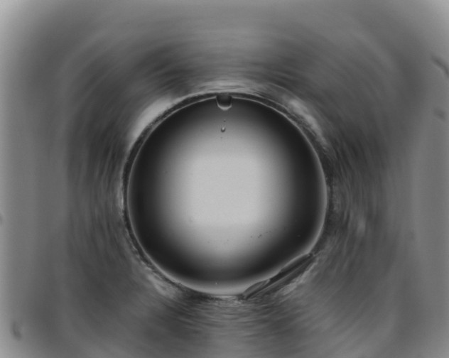 X0000096461328200801311504
