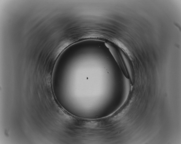 X0000096461329200801311504