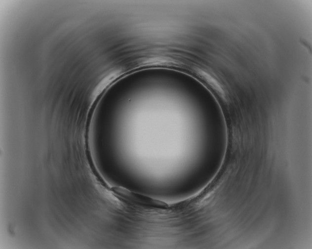 X0000096461330200801311504