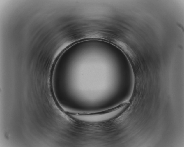 X0000096461331200801311504