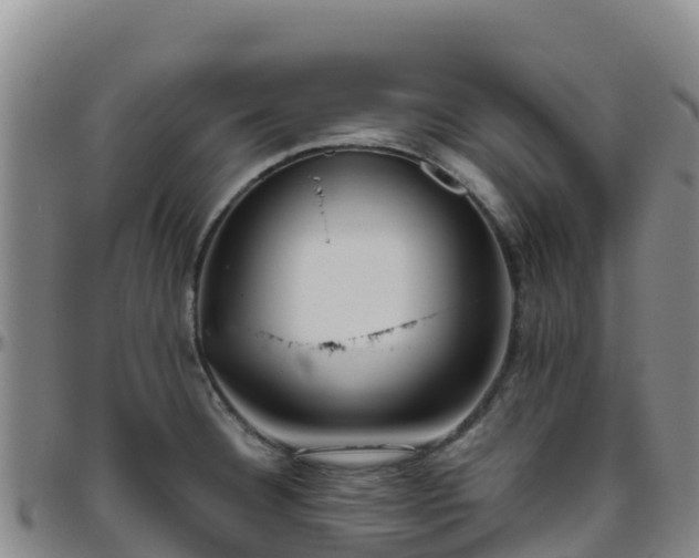 X0000096461332200801311504