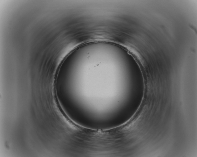 X0000096461333200801311504