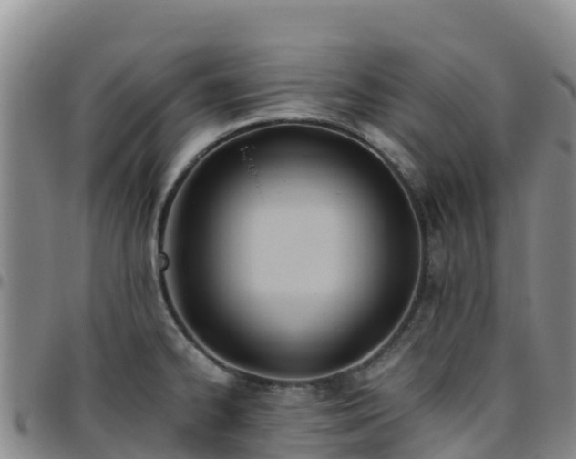 X0000096461334200801311504