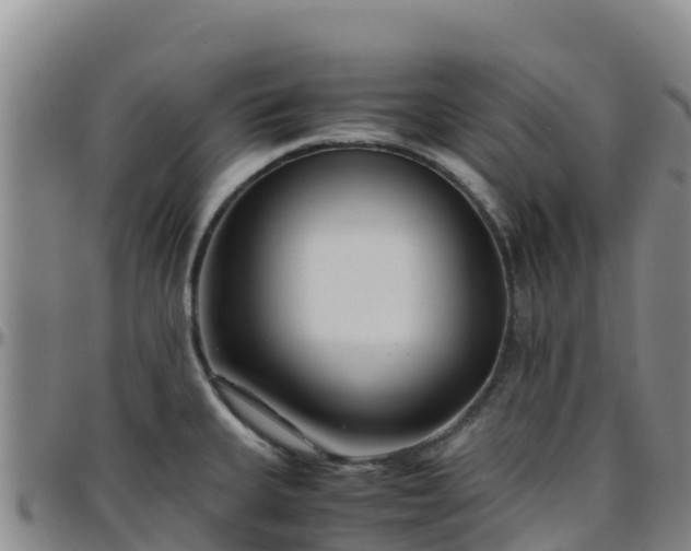 X0000096461335200801311504