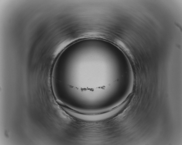 X0000096461336200801311504