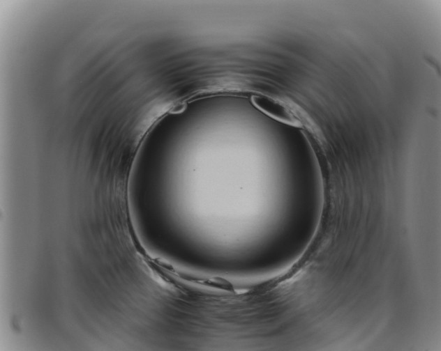 X0000096461337200801311504