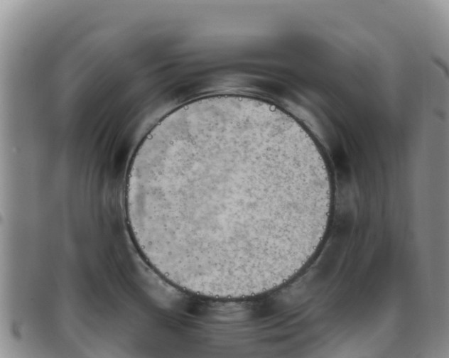 X0000096461338200801311504