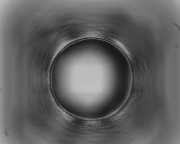 X0000096461339200801311504