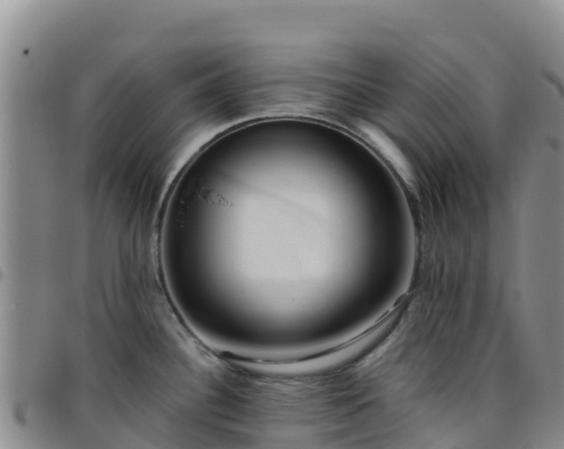 X0000096461340200801311504