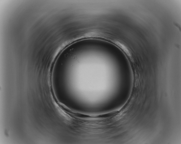 X0000096461342200801311504