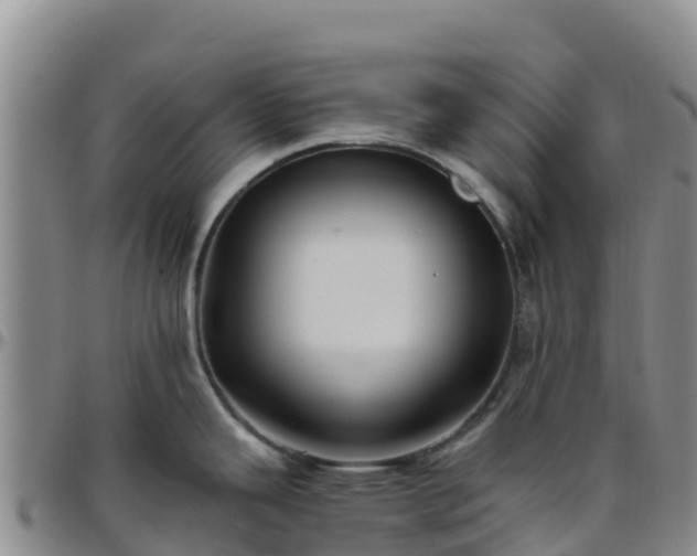 X0000096461343200801311504