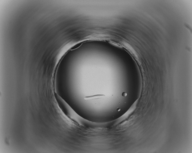 X0000096461344200801311504