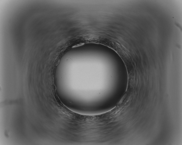 X0000096461345200801311503