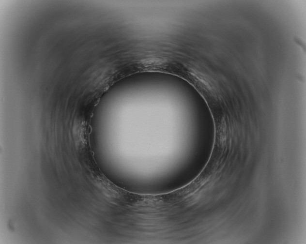 X0000096461346200801311503