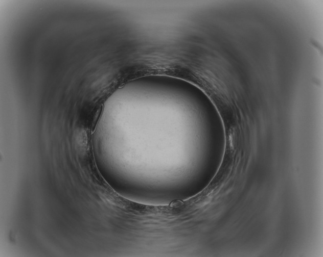 X0000096461347200801311503