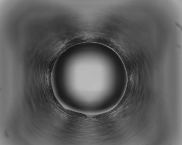 X0000096461348200801311503