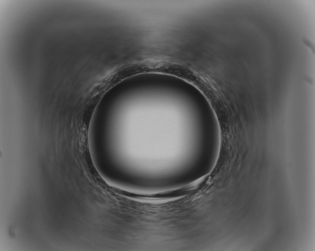 X0000096461349200801311503