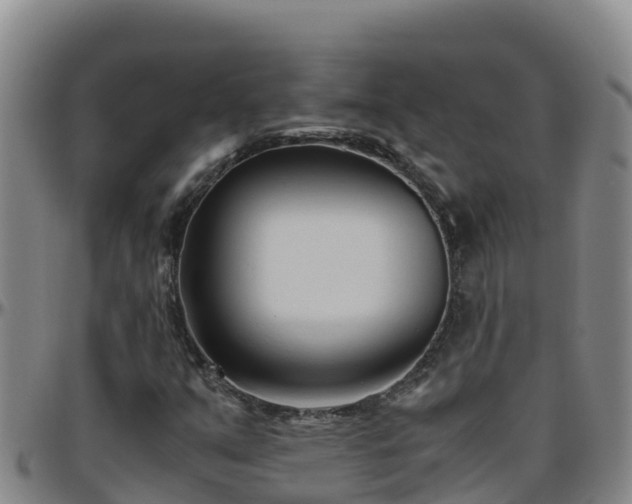 X0000096461351200801311503
