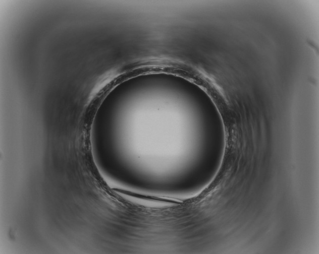 X0000096461352200801311503