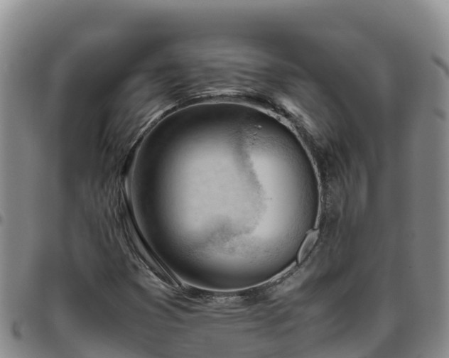 X0000096461353200801311503