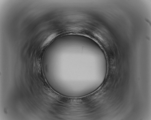 X0000096461354200801311503