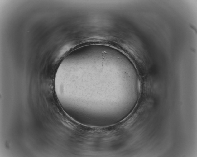 X0000096461355200801311503