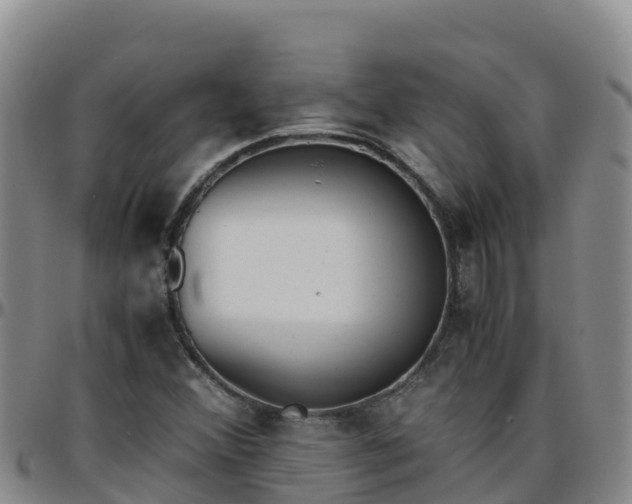 X0000096461356200801311503