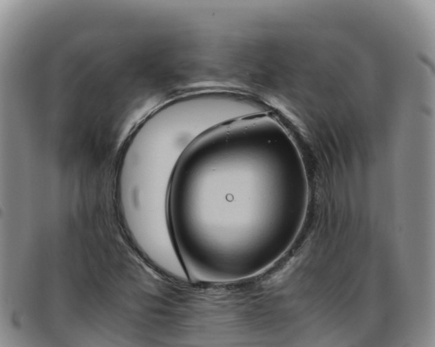 X0000096461357200801311503