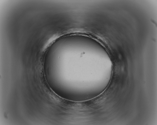 X0000096461359200801311503