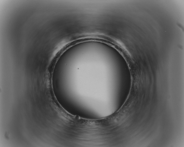 X0000096461360200801311503