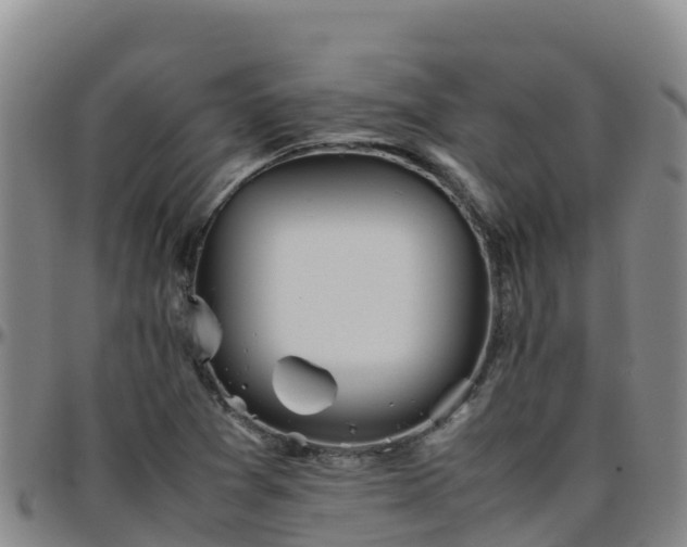 X0000096461361200801311503