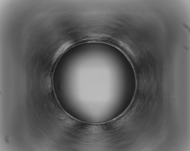 X0000096461362200801311503