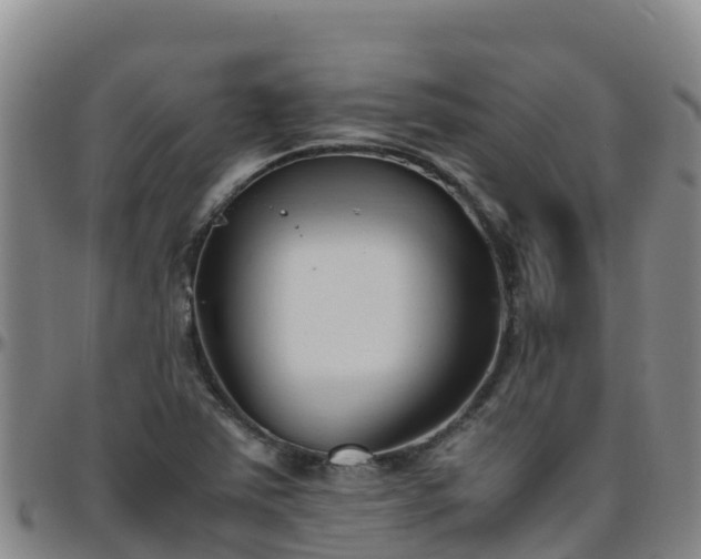 X0000096461363200801311503