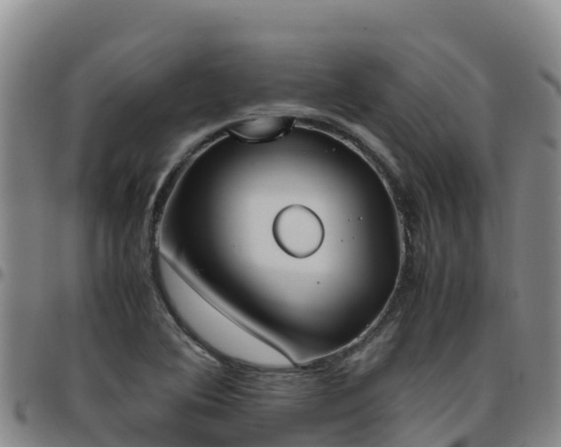 X0000096461364200801311503
