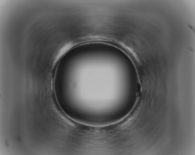 X0000096461365200801311503