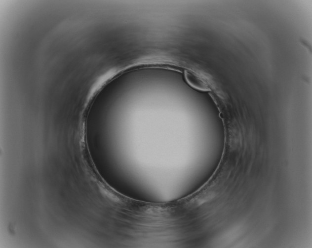 X0000096461366200801311503