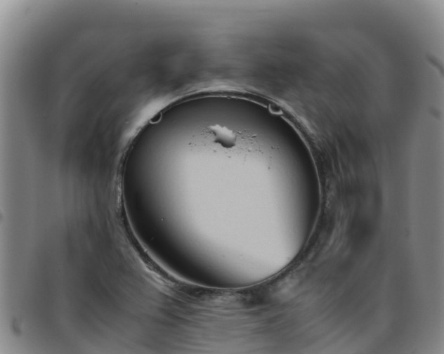 X0000096461367200801311503