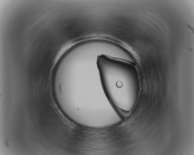 X0000096461368200801311503