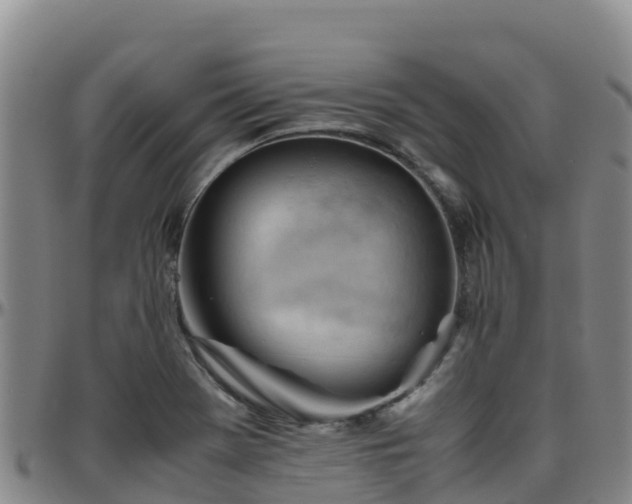 X0000096461369200801311503