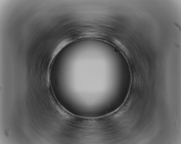 X0000096461370200801311503