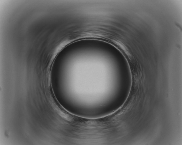 X0000096461371200801311503