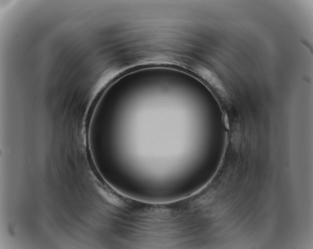 X0000096461372200801311503