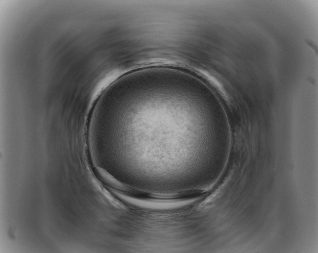 X0000096461373200801311503