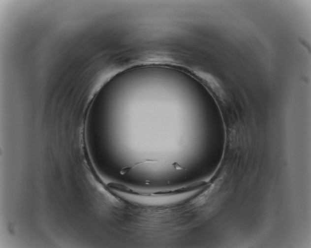 X0000096461374200801311503