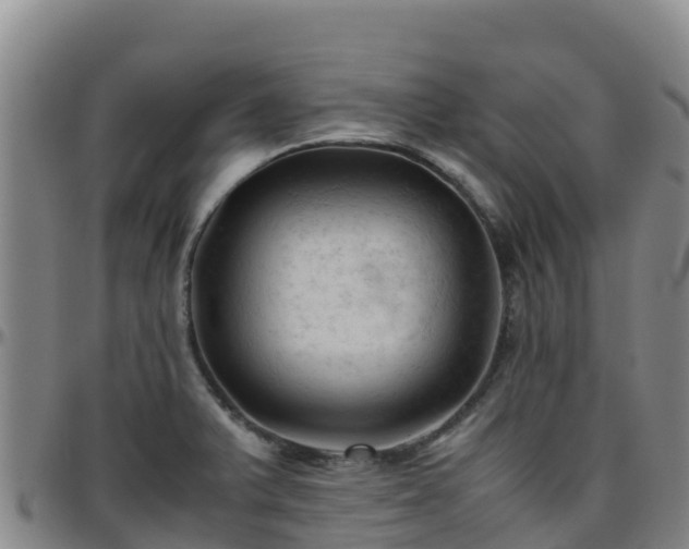 X0000096461375200801311503