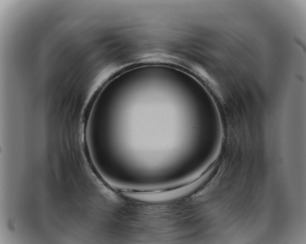 X0000096461376200801311503
