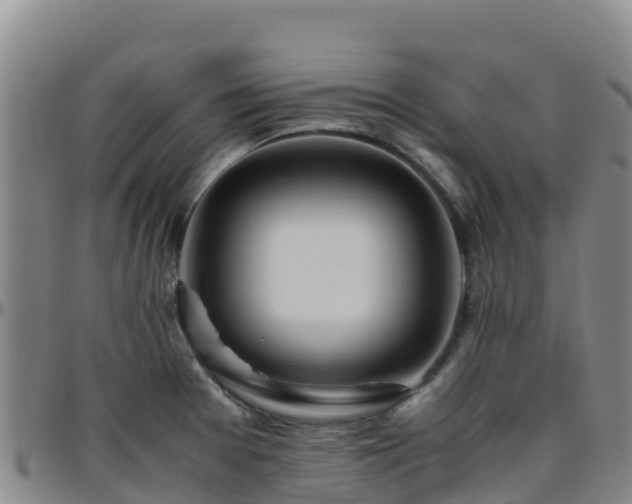 X0000096461377200801311503