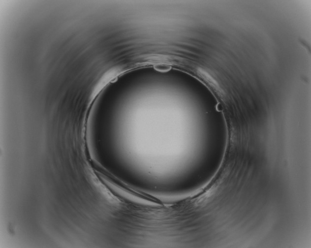 X0000096461378200801311503