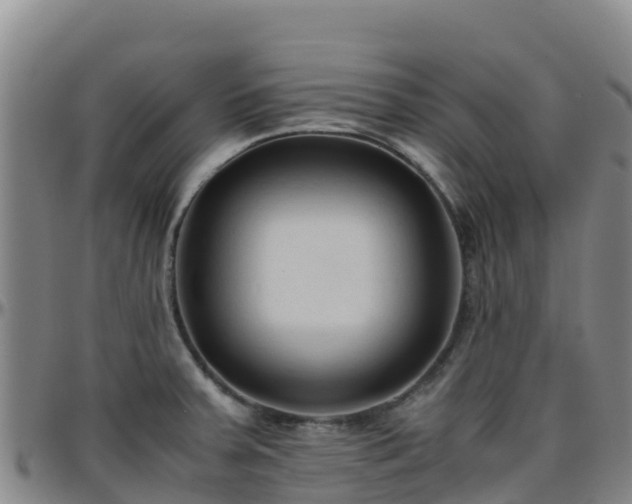 X0000096461379200801311503